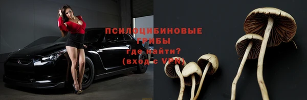 соль курить ск Богородск