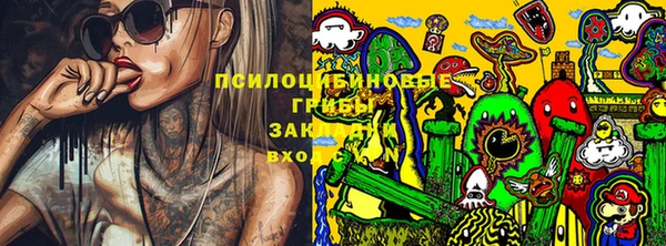 наркотики Богданович