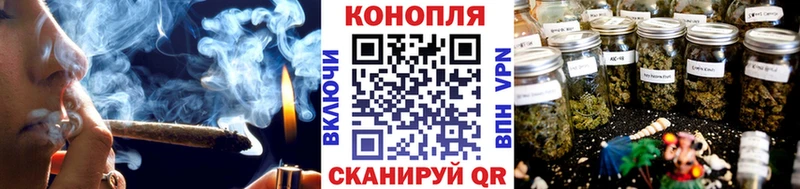 где можно купить наркотик Володарск Канабис Amnesia